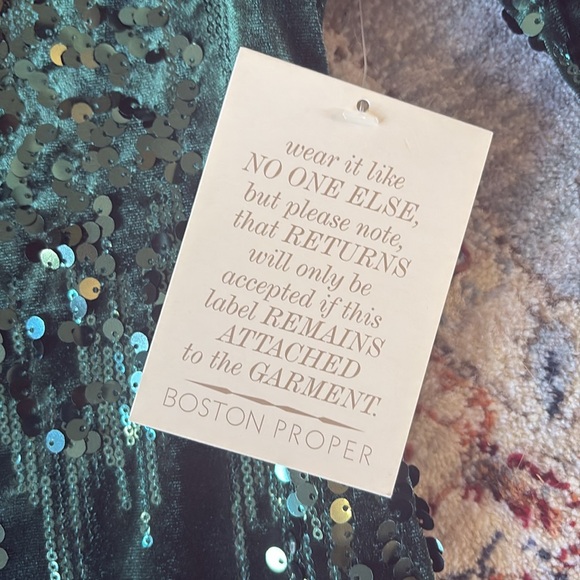 Boston Proper Alexia Admor $189 green velvet sequins long sleeve holiday dress 2 - Picture 10 of 10